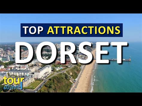 Amazing Things to Do in Dorset & Top Dorset Attractions - Secret World