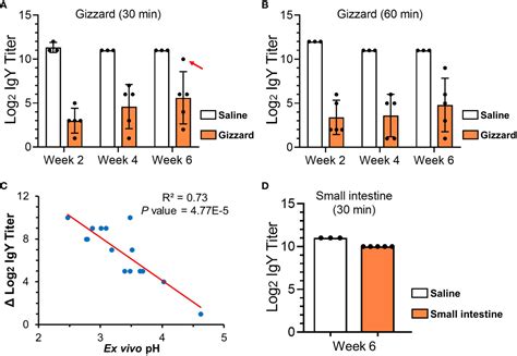 Frontiers Ex Vivo Evaluation Of Egg Yolk Igy Degradation In Chicken