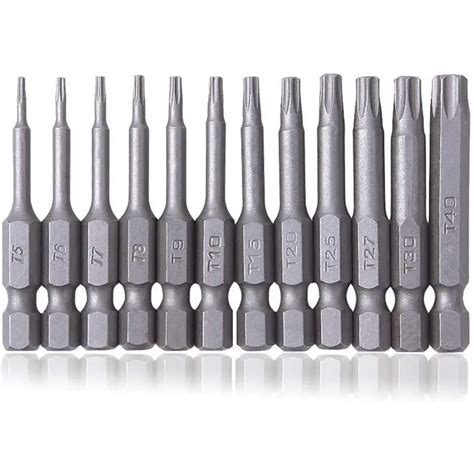 T10 Torx Bit With Hole | ppgbbe.intranet.biologia.ufrj.br