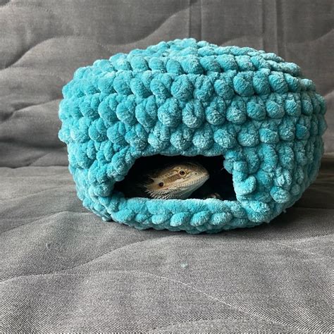 Custom Bearded Dragon Cave Etsy