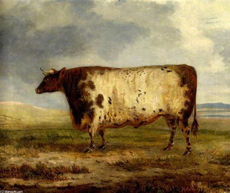 Museu De Reproduções De Arte Um Durham Ox por George Garrard 1760 1826