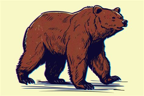 Grizzly Bear Clipart Images Browse Stock Photos Vectors