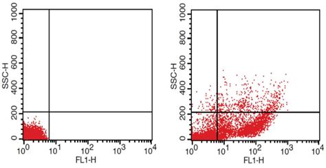 Flow Cytometry Analysis Of Peripheral Blood Mononuclear Cells Pbmcs