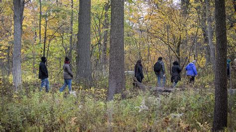 Fall in the Woods | Chicago Botanic Garden