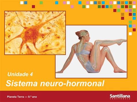 Unidade 4 Sistema Neurohormonal PPT