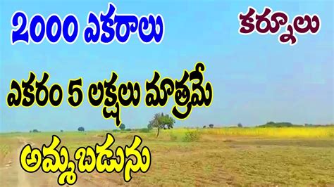 2000 Acres Land For Sale In Kurnool Acre 5 Lakh Only Low Budget