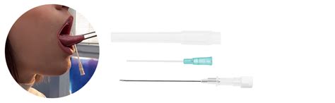 Warrior Aghi Sterili Cannula Per Piercing Orecchie Naso Usa E Getta