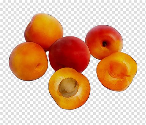 Fruit Tree Apricot Vegetarian Cuisine Food Superfood Natural Foods