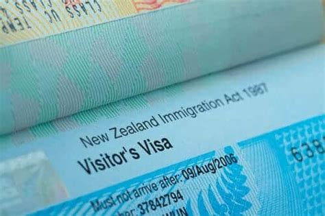 Visa Options For New Zealand - Expat Network