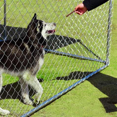 Giantex Large Pet Dog Run House Kennel Shade Cage With Roof Cover