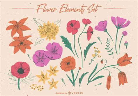 Botanical Flower Elements Set Vector Download