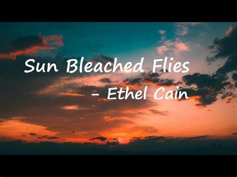 Ethel Cain Sun Bleached Flies Lyrics Youtube