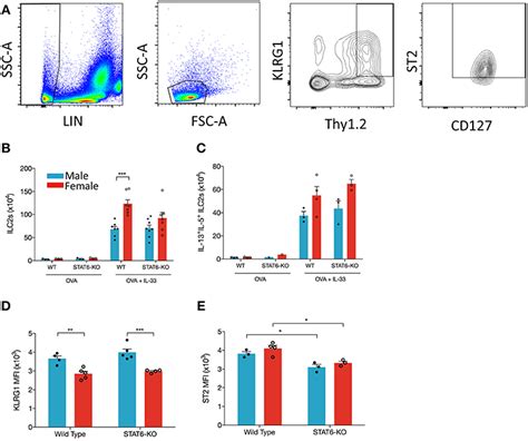 Frontiers Sex Differences In Il 33 Induced Stat6 Dependent Type 2 Airway Inflammation