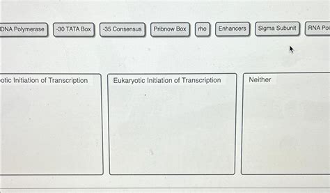 Solved Eukaryotic Initiation of Transcription | Chegg.com