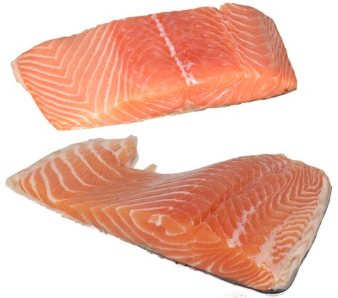 Free Salmon Salmon Fish Images Pixabay