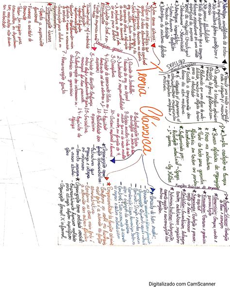 Mapa Mental Teoria Clássica Da Administração Administração Para