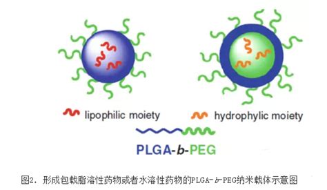 包载脂溶性药物或水溶性药物的plga B Peg纳米载体的制备、纯化及优缺点介绍 Udp糖丨mof丨金属有机框架丨聚集诱导发光丨荧光标记推荐西安齐岳生物