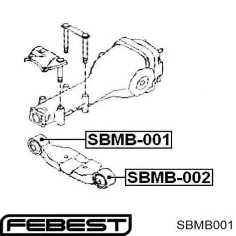 RGF7871 Caster silentblock suspensión cuerpo del eje trasero derecho