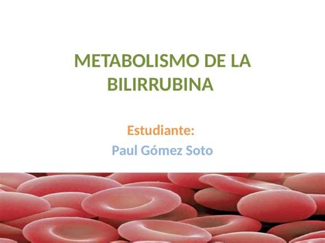 PPTX Metabolismo De La Bilirrubina DOKUMEN TIPS