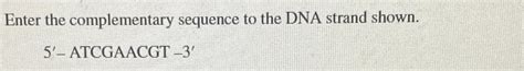 Solved Enter the complementary sequence to the DNA strand | Chegg.com