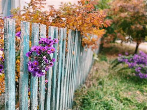 How To Safely Remove Residential Wooden Fences In Sydney Paul S