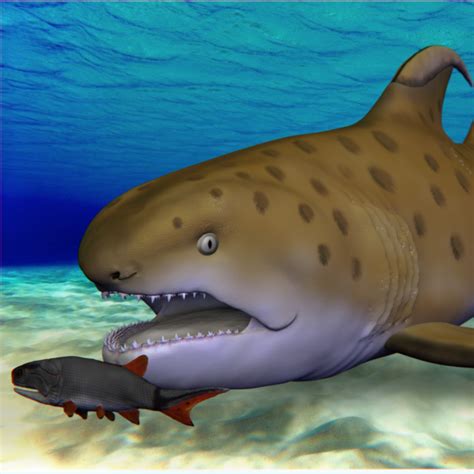 Shark-Zilla: King of the Sea Monsters | Nature and Wildlife | Discovery