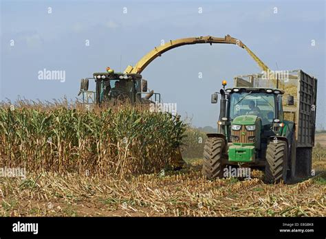 Ernte ernte futter Fotos und Bildmaterial in hoher Auflösung Alamy