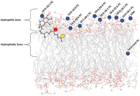 Membranes Free Full Text Vitamin E Circular Dichroism Studies