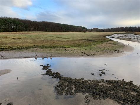 Aberlady Nature Reserve – Debbie's 500 Miles for Parkinson's UK