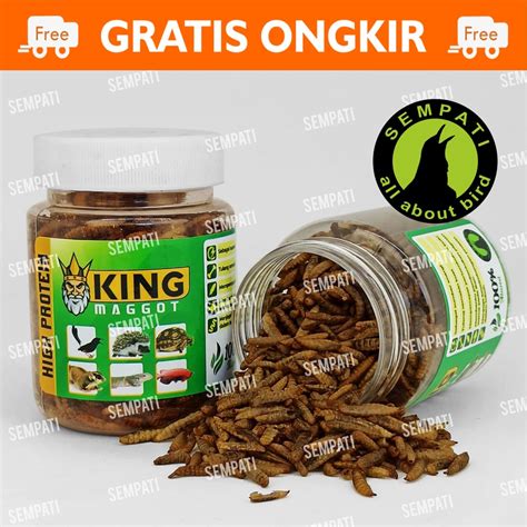 Jual King Maggot Bsf Super Magot Maggot Kering Dry Fresh Magot Pakan