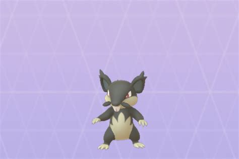 Is Alolan Rattata shiny in Pokémon Go? - Polygon