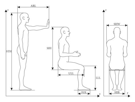 Body Dimensions As Anthropometric Measurements 13 Download