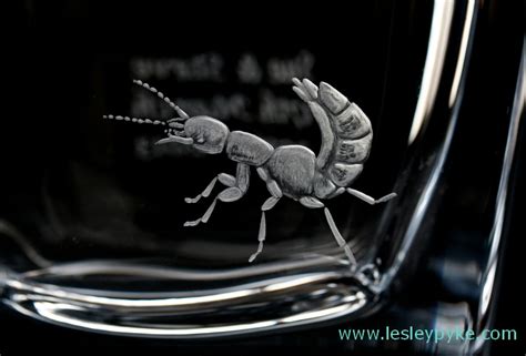 Lesley Pyke Glass Engraving And Life A Variety Of Glass Engraving