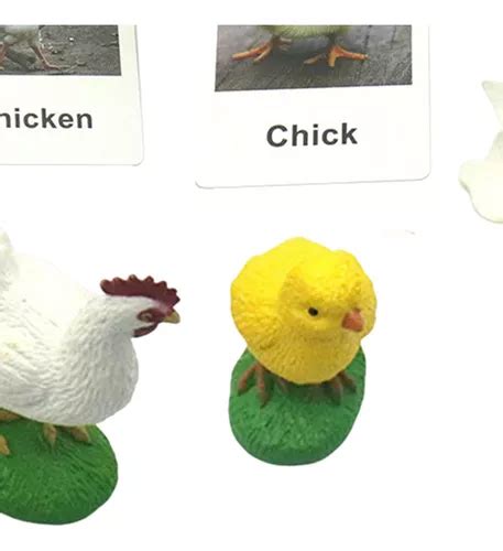 Figuras Del Ciclo De Vida Del Pollo Decoraciones De Fiesta En Venta En