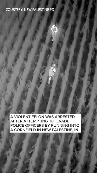 Police Drone Footage Shows A Suspect Attempt To Evade Officers In A