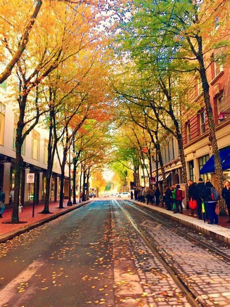 Fall In Portland Portland Oregon Photography Portland Oregon Travel