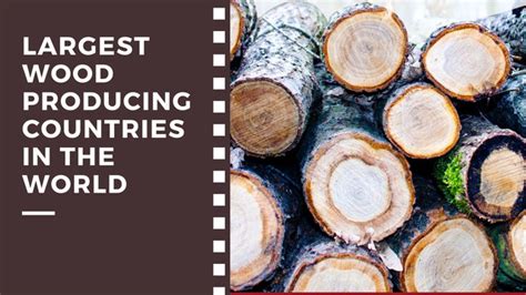 Which Are The Largest Wood Producing Countries In The World