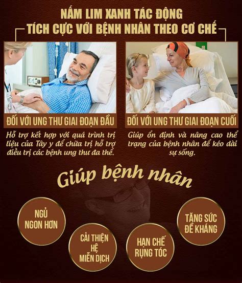 Nấm Lim Xanh Quảng Nam Hộp Quà Biếu 05kgh Hộp Công Ty Nhân