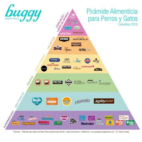 a pyramid with the words buggy written in different languages and numbers on each side