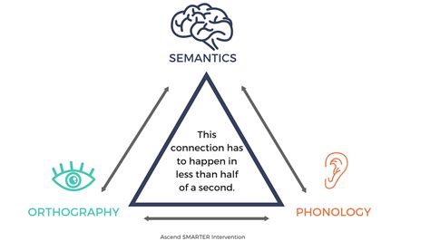 5 Core Components of Reading - Phonological Awareness | SMARTER ...