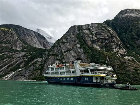 Photos: I Took an Alaskan Cruise With National Geographic Experts ...