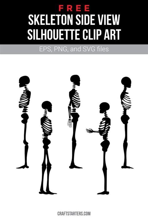 Free Skeleton Side View Silhouette Clip Art Silhouette Clip Art Clip