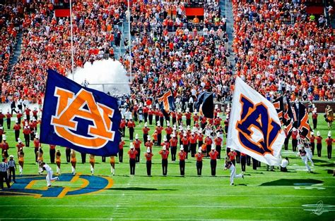 Auburn Tigers Football Interactive Seating Chart | TickPick