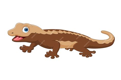 Premium Vector Cute Crested Gecko Cartoon On White Background