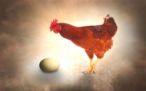 ¿qué Fue Primero El Huevo O La Gallina