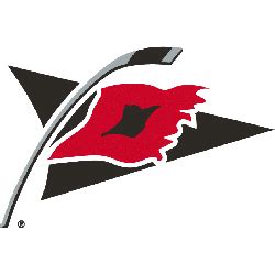 Carolina Hurricanes Alternate Logo | Sports Logo History