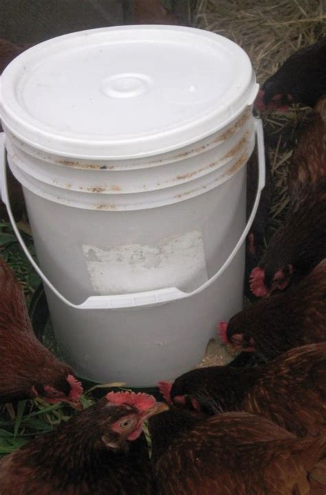 Diy Chicken Waterer 5 Gallon Bucket 30 Brilliant Ways To Use Five Gallon Buckets On The