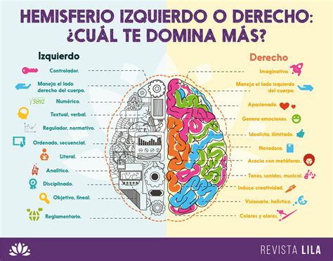 Blog De Psicología David Carranco Hemisferio Derecho E Izquierdo