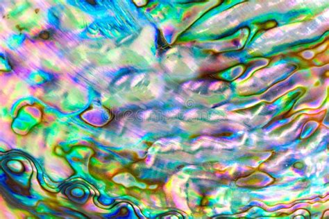 Close Up Multicolour Texture Background of Paua Shell, Haliotis Iris or Abalone Shell Stock ...