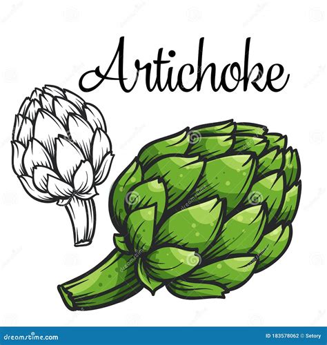 Artichoke Vector Sketch Icon Isolated On Background With Text Hand Drawn Artichokes For